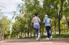 半场：莱比锡2-0法兰克福，哈德、鲍姆加特纳相互传射